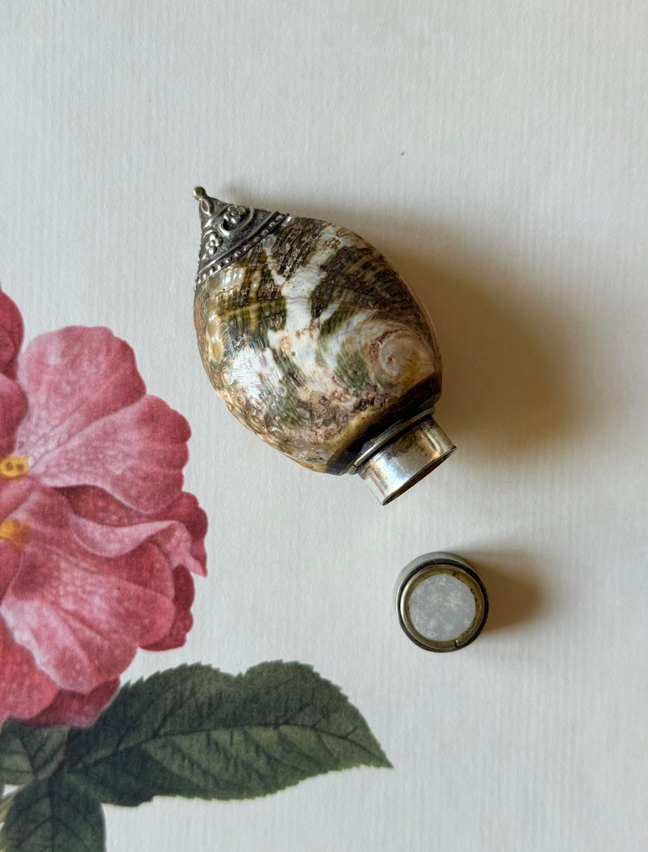 rare 19th century French Napoleon III petite sea shell and repousse silver perfume bottle