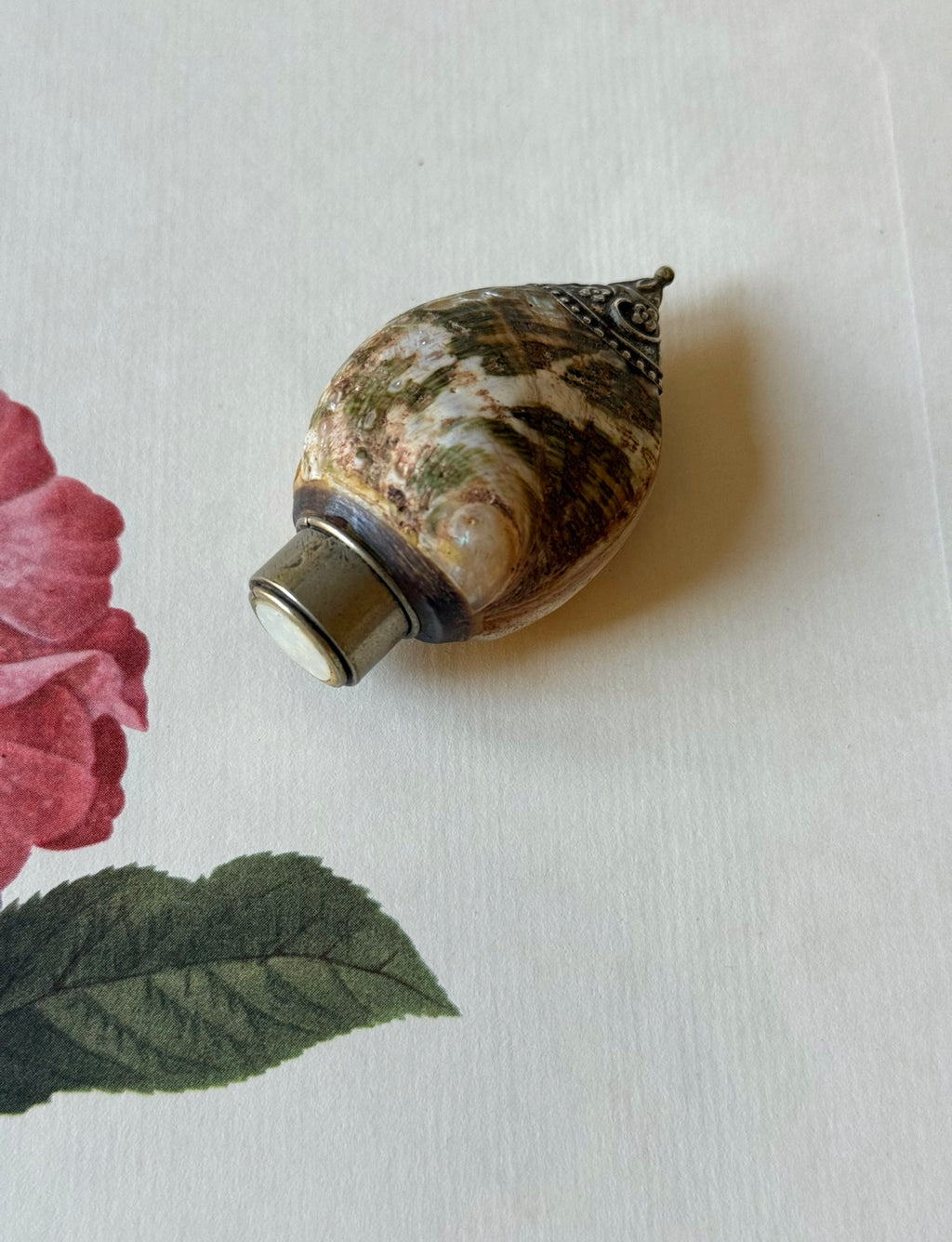 rare 19th century French Napoleon III petite sea shell and repousse silver perfume bottle