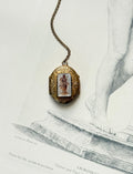 rare 19th century French carved mother-of-pearl cameo neoclassical chased brass photo locket