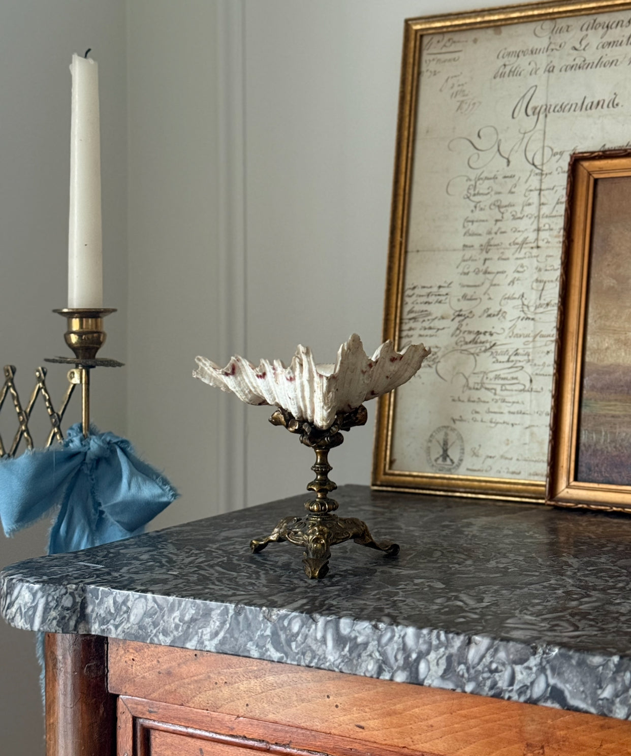 rare 19th century antique french gilt bronze-mounted nautilus shell chalice