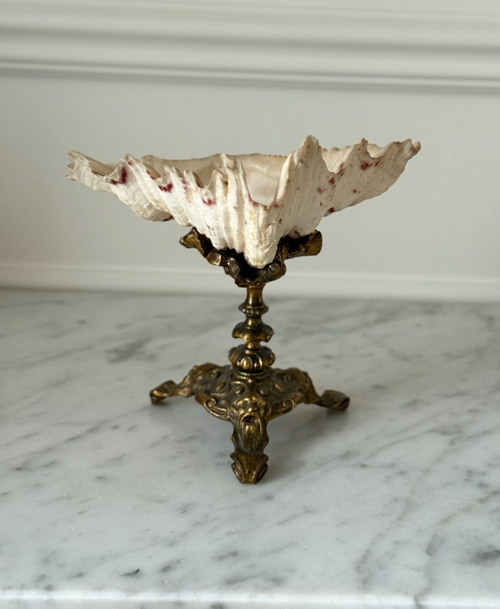 rare 19th century antique french gilt bronze-mounted nautilus shell chalice