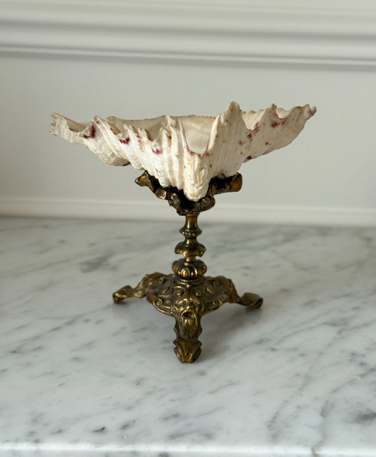 rare 19th century antique french gilt bronze-mounted nautilus shell chalice