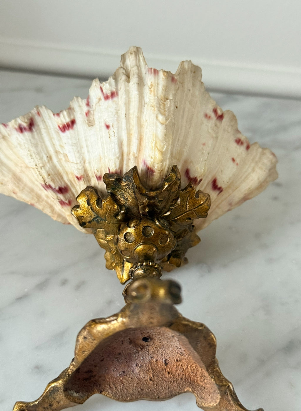 rare 19th century antique french gilt bronze-mounted nautilus shell chalice