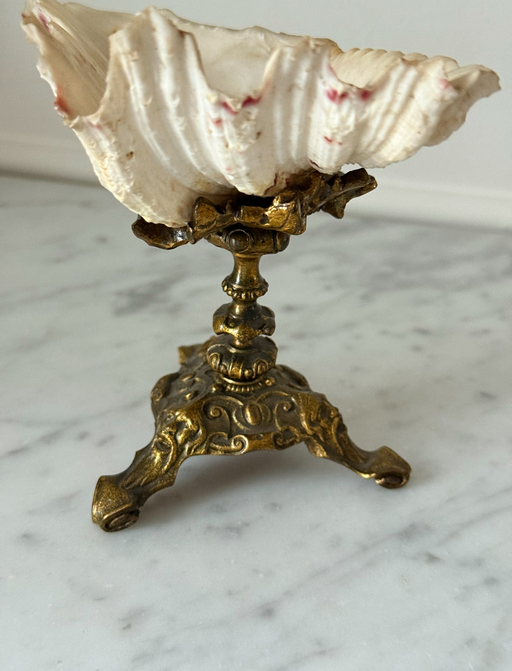 rare 19th century antique french gilt bronze-mounted nautilus shell chalice