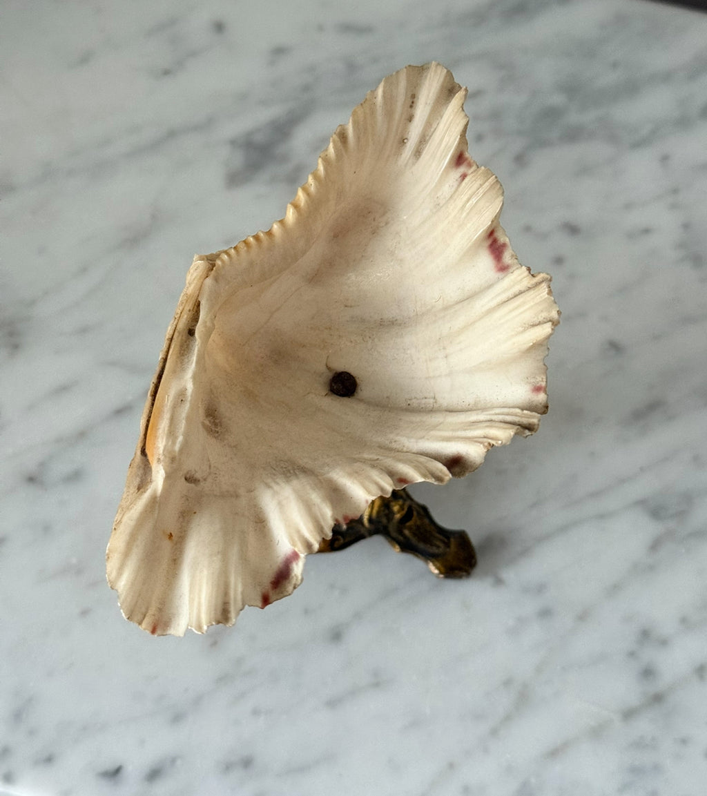 rare 19th century antique french gilt bronze-mounted nautilus shell chalice